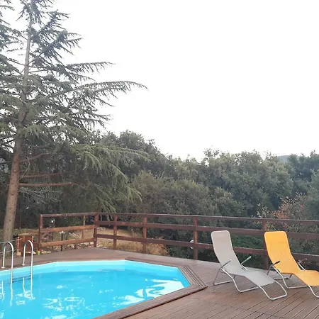 Il Lavoreccio